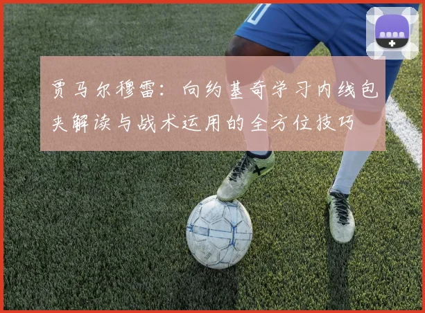 贾马尔穆雷：向约基奇学习内线包夹解读与战术运用的全方位技巧