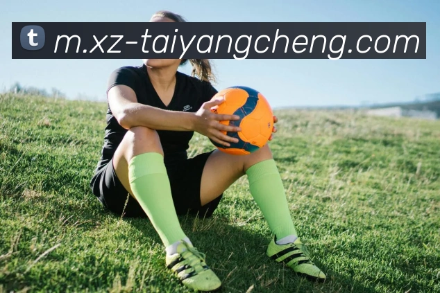 太阳城发展历程