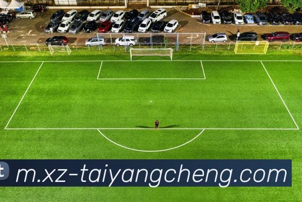 奖项图2
